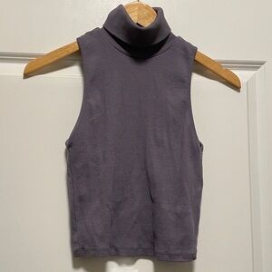 Zara Sleeveless Cropped Turtleneck Neck